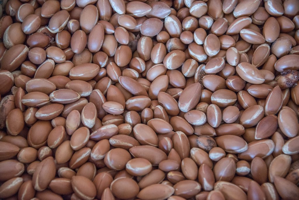 Uleiul de argan, proprietăți și utilizări- Conscious Beauty