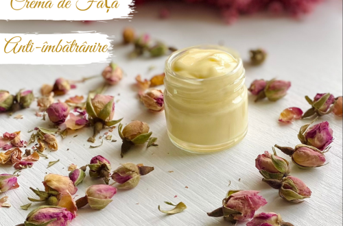 Cum să faci Cremă de față anti-îmbătrânire | How to make Anti- aging Face Cream Moisturizer